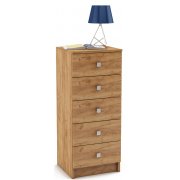 дуб золотистый