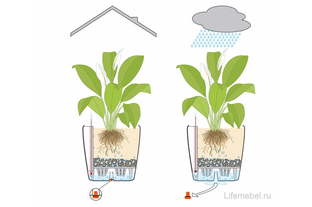 Кашпо Lechuza 13203 CLASSICO Color 28 мускатный