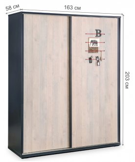 Шкаф-купе детский Trio