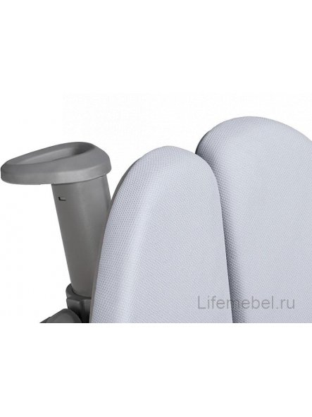 Компьютерное кресло Brassica grey
