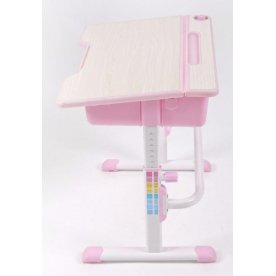 Комплект EVOLIFE Study 2 / розовый