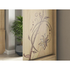 Шкаф-купе Виктория-1