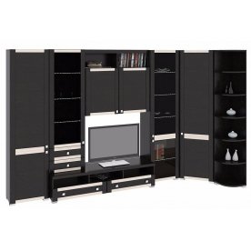 Стенка для гостиной Фиджи (комплектация 28) венге цаво