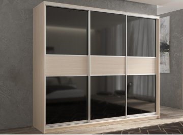 Шкаф-купе Кааппи 12