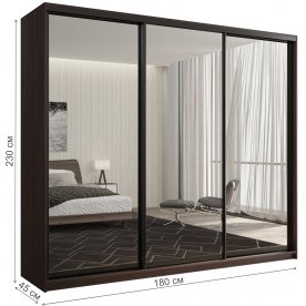 Шкаф-купе Кааппи 1