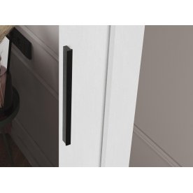 Шкаф-купе Дрим-1 2 м