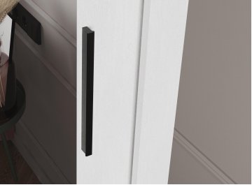 Шкаф-купе Дрим-1 2 м