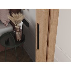 Шкаф-купе Дрим-2 1,5 м