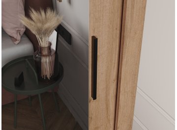 Шкаф-купе Дрим-2 1,5 м