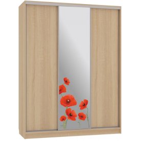 Шкаф-купе Бассо 1-600