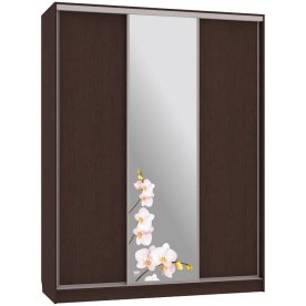 Шкаф-купе Бассо 1-600