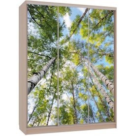 Шкаф-купе Бассо 7-600 57