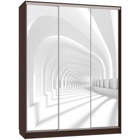 Шкаф-купе Бассо 7-600 58