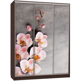 Шкаф-купе Бассо 7-600 78