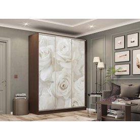 Шкаф-купе Бассо 7-600