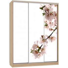 Шкаф-купе Бассо 7-600