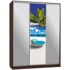 Шкаф-купе Бассо 9-600 77