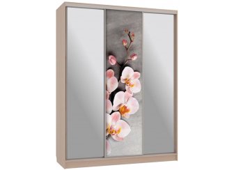 Шкаф-купе Бассо 9-600 78