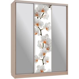 Шкаф-купе Бассо 9-600 83