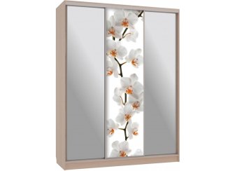 Шкаф-купе Бассо 9-600 83