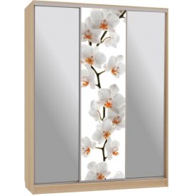 Шкаф-купе Бассо 9-600 83