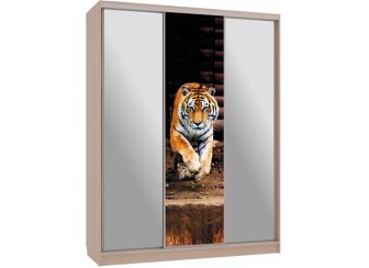 Шкаф-купе Бассо 9-600 87