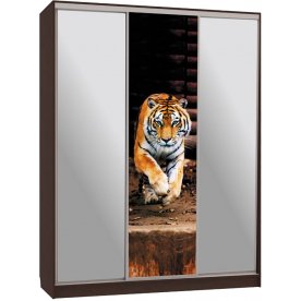 Шкаф-купе Бассо 9-600 87