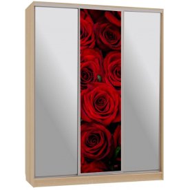 Шкаф-купе Бассо 9-600 89