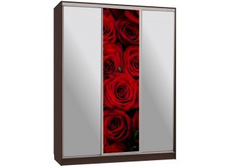 Шкаф-купе Бассо 9-600 89