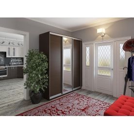 Шкаф-купе D3-02 220х60