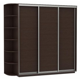 Шкаф-купе D3-05 220х60