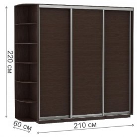 Шкаф-купе D3-05 220х60