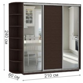 Шкаф-купе D3-07 240х60