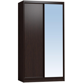 Шкаф-купе Домашний 1200 зеркало / лдсп