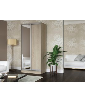 Шкаф-купе Дуэт-2
