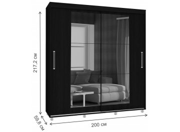 Шкаф-купе Джанг 2.0