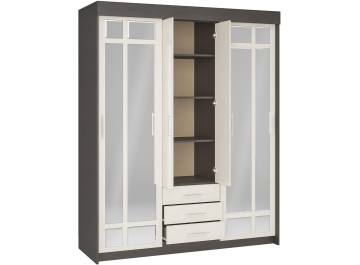 Шкаф-купе Фортуна