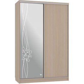 Шкаф-купе Гранд 1-600