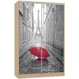 Шкаф-купе Гранд 7-600 08