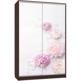 Шкаф-купе Гранд 7-600 17