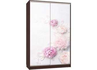 Шкаф-купе Гранд 7-600 17