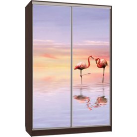 Шкаф-купе Гранд 7-600 19