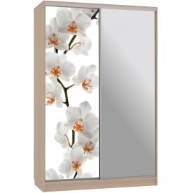 Шкаф-купе Гранд 9-600 83