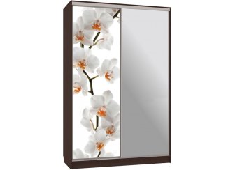 Шкаф-купе Гранд 9-600 83