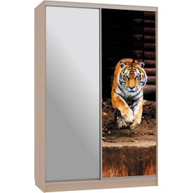 Шкаф-купе Гранд 9-600 87