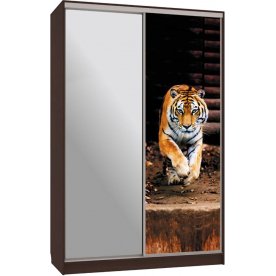 Шкаф-купе Гранд 9-600 87