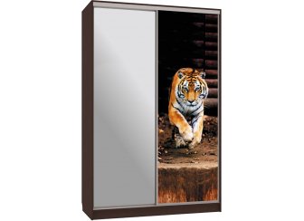 Шкаф-купе Гранд 9-600 87