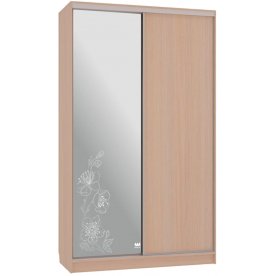 Шкаф-купе Рио 1-600