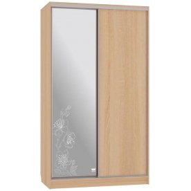 Шкаф-купе Рио 1-600