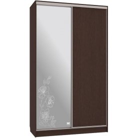 Шкаф-купе Рио 1-600